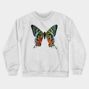 Madagascan Sunset Moth Crewneck Sweatshirt
